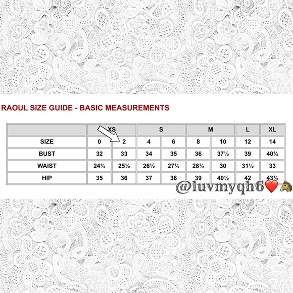 Raoul Clementine Top🎉HP🎉 - Picture 2 of 4